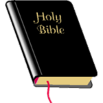 Bible Respect Reading