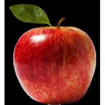 Crazyapple's Sheriffs Office -CASO-