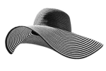 The Creators with Hats