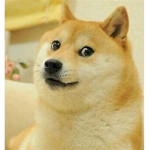 Epic Doge Gang :D