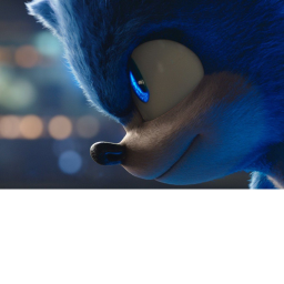 sonic race