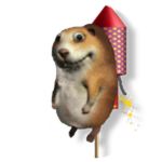 Firework Chomik