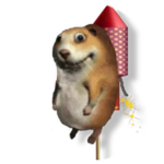 Firework Chomik