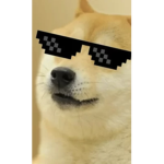 DOGE ARMY!.!