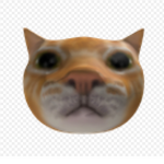 Cat_group_