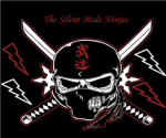 Silent Male Ninja