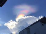 Cloudy_opossum