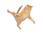 Pawz And Freinds Official Group