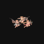 ZO | Ryukuro Clan