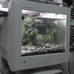⊹