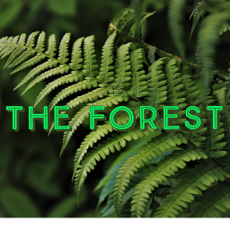 The forest [Story]