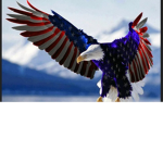 Team parrot