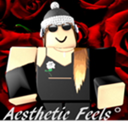 Aesthetic Feels° Homestore V1