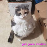 gud gaem studios