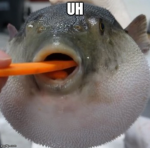 NiceFishy