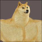 Swole Doge