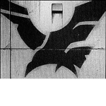 Sunset_Ravens