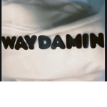 Jaydacheaves