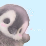 enbonnie -*,.