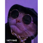 $ilent $høøters