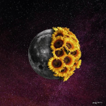 MoonxSummer