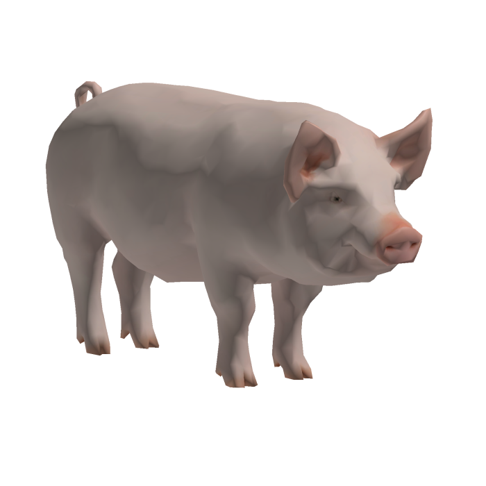 Pig Mount