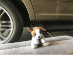 Puppy fans that like dogs and puppies