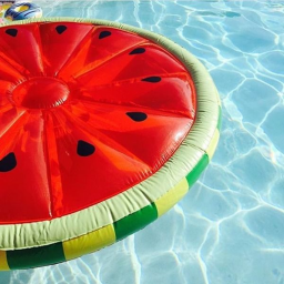 aloha summer con!