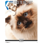 Kitty cat shop