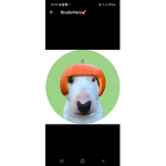Angelinawasgeht5
