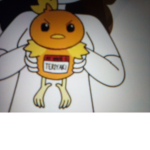 Torchic combat