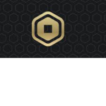 The official roblox donating group