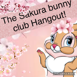The Sakura Bunny Club!