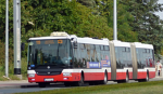 Autobusy Koteczka