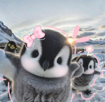 Fenolly
