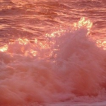 AestheticOcean