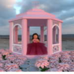 The Faeries Pink Closet