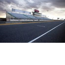 The RoX's racing place