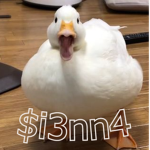 $i3nn4