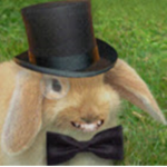 --Bunny Buddies--