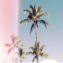 𝓇𝒾𝒹𝑒𝓈