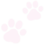 /catpawsss