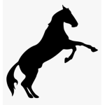 ~ Riding Stallions ~
