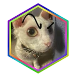 Find the Not-so-secret Badge Roblox badge thumbnail