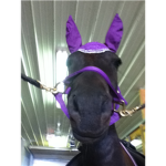 horse jumpers