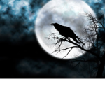 Noctuary