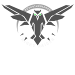 Night Raisers | Recruitments
