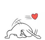 함께놀자!