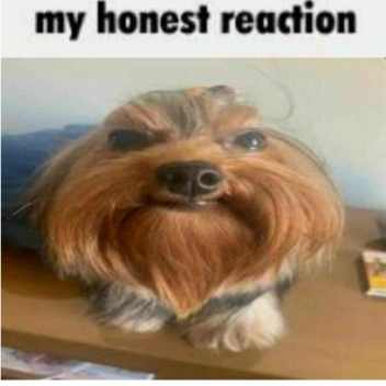 Anime Saga Uncopylocked