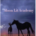 Moon Lit Academy
